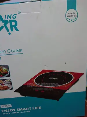 Winning Star Induction Cooker With Touch Control Panel