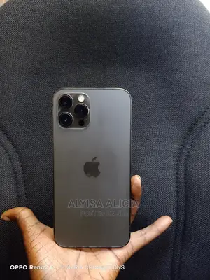 Apple iPhone 12 Pro Max 128 GB Gray