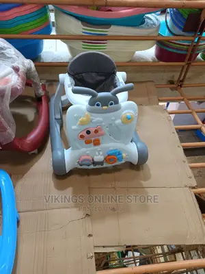 Multifunction 2 Way Luxury Walker