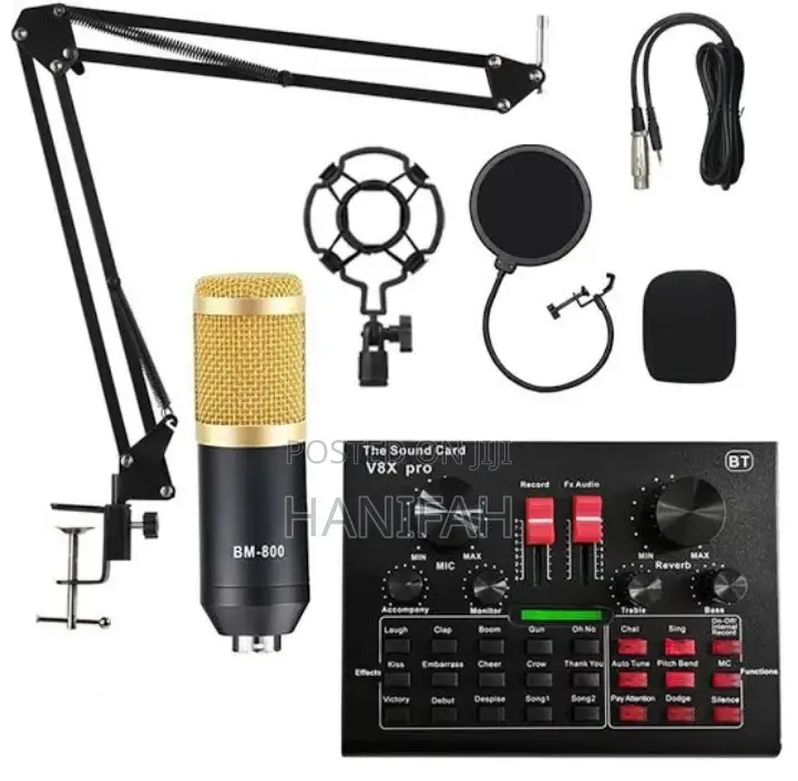 Professional Microphone Condenser