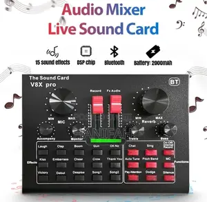 Professional Microphone Condenser