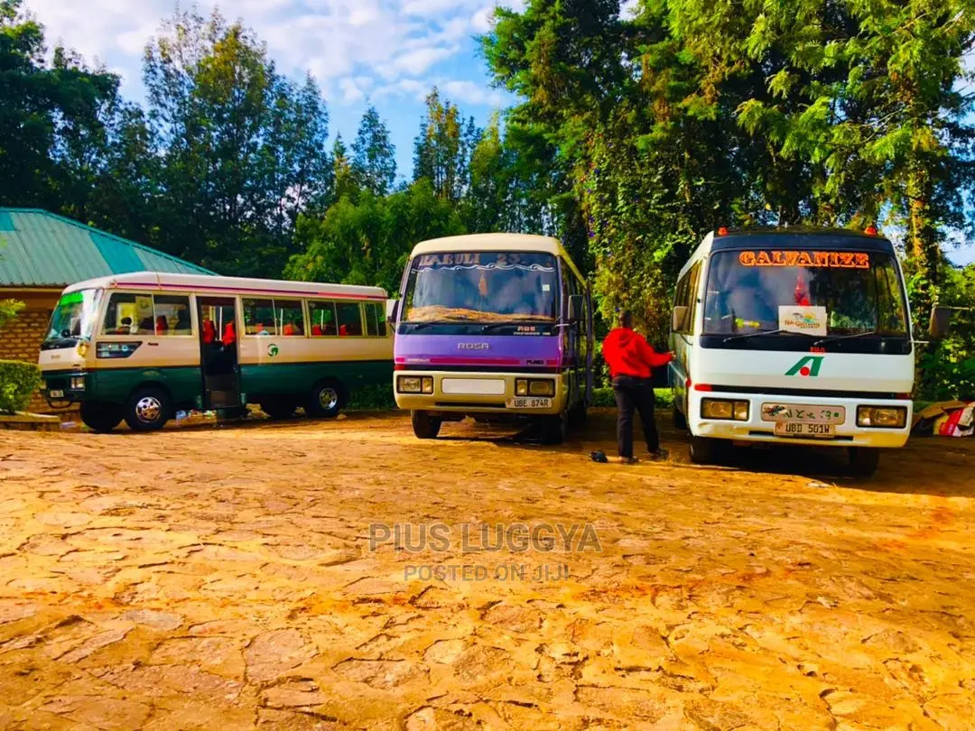 Bus Hire Services