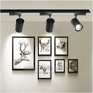 Led Track Ceiling Spot Light - 30 Watts -- Metal