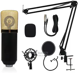 Professional Condenser Microphone