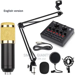 Professional Condenser Microphone