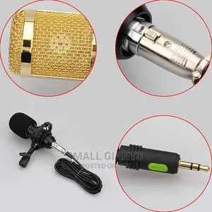 Professional Condenser Microphone