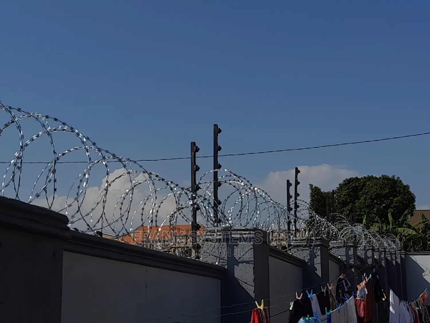 Electronic Security Fence