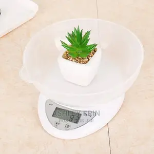 Imesbean Digital Weighing Scale