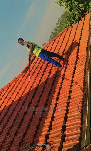Roof Tiles Cleaning Services