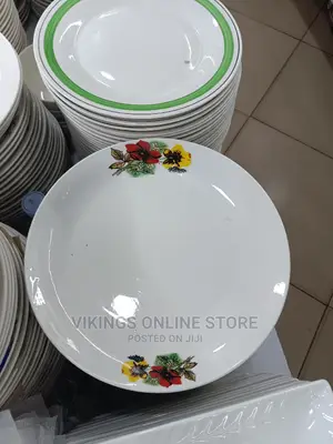 12 Pcs Large Ceramic Dinner Plates