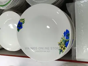 12 Pcs Large Ceramic Dinner Plates