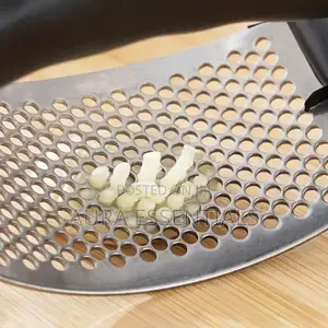 Stainless Steel Garlic/ Ginger Press Mincer Crusher