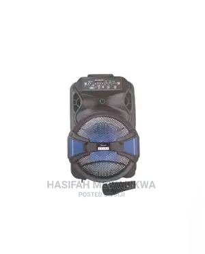 Master Speaker With Digital Player and Microphone