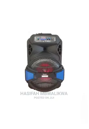 Master Speaker With Digital Player and Microphone