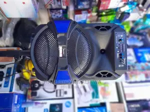 Master Speaker With Digital Player and Microphone