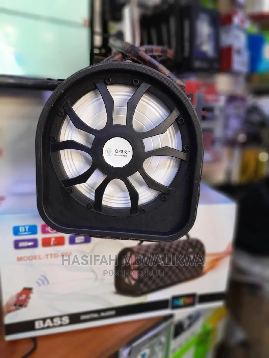 Bluetooth Portable Karaoke Speaker