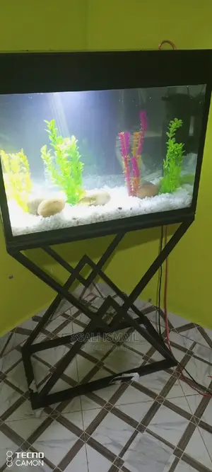 Looking Simple and Neat