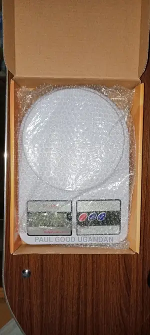 Portable Digital Weighing Scale 10kg