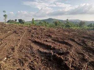 Land , Plots and Acres for Sale