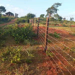 Barbed Wire Fences