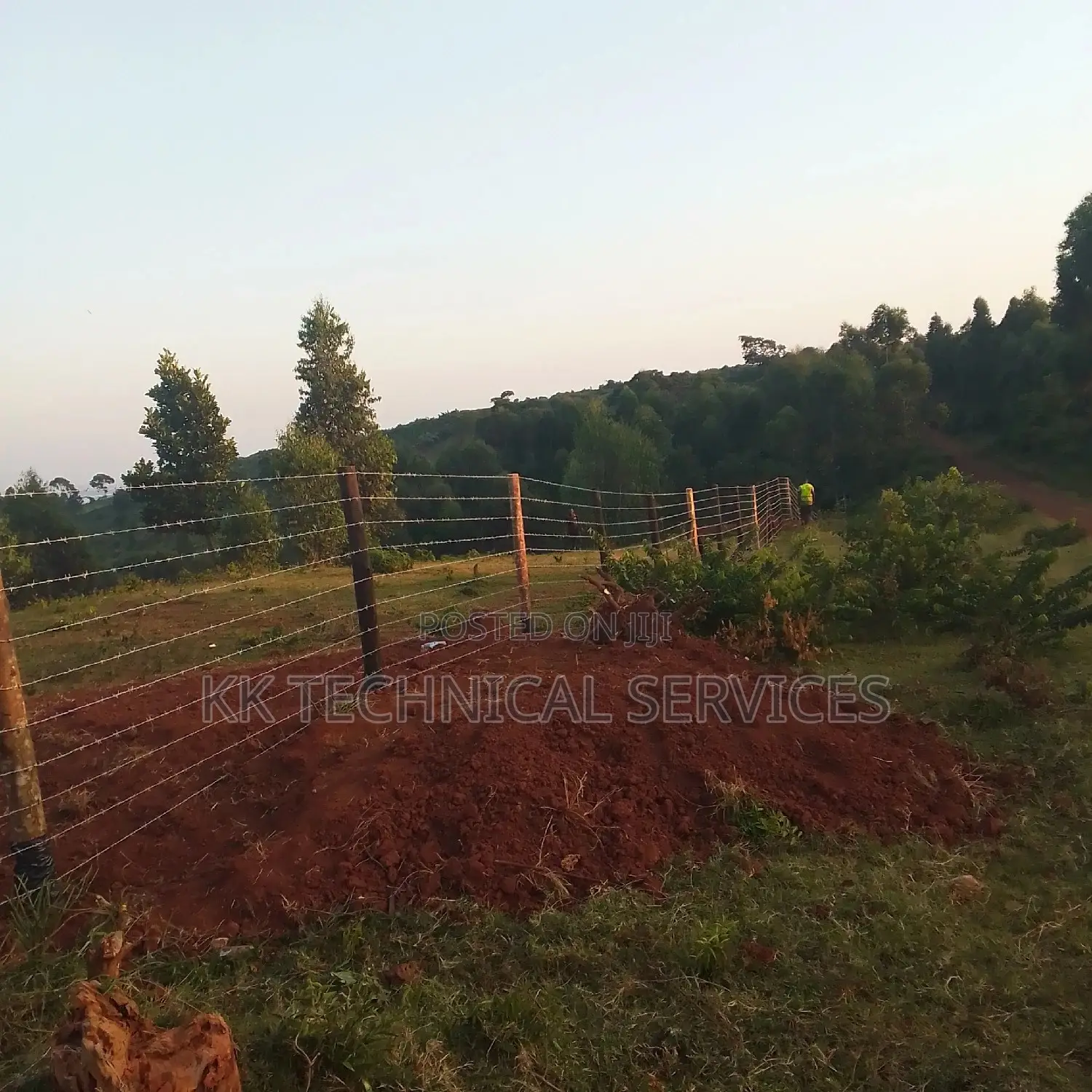 Barbed Wire Fences