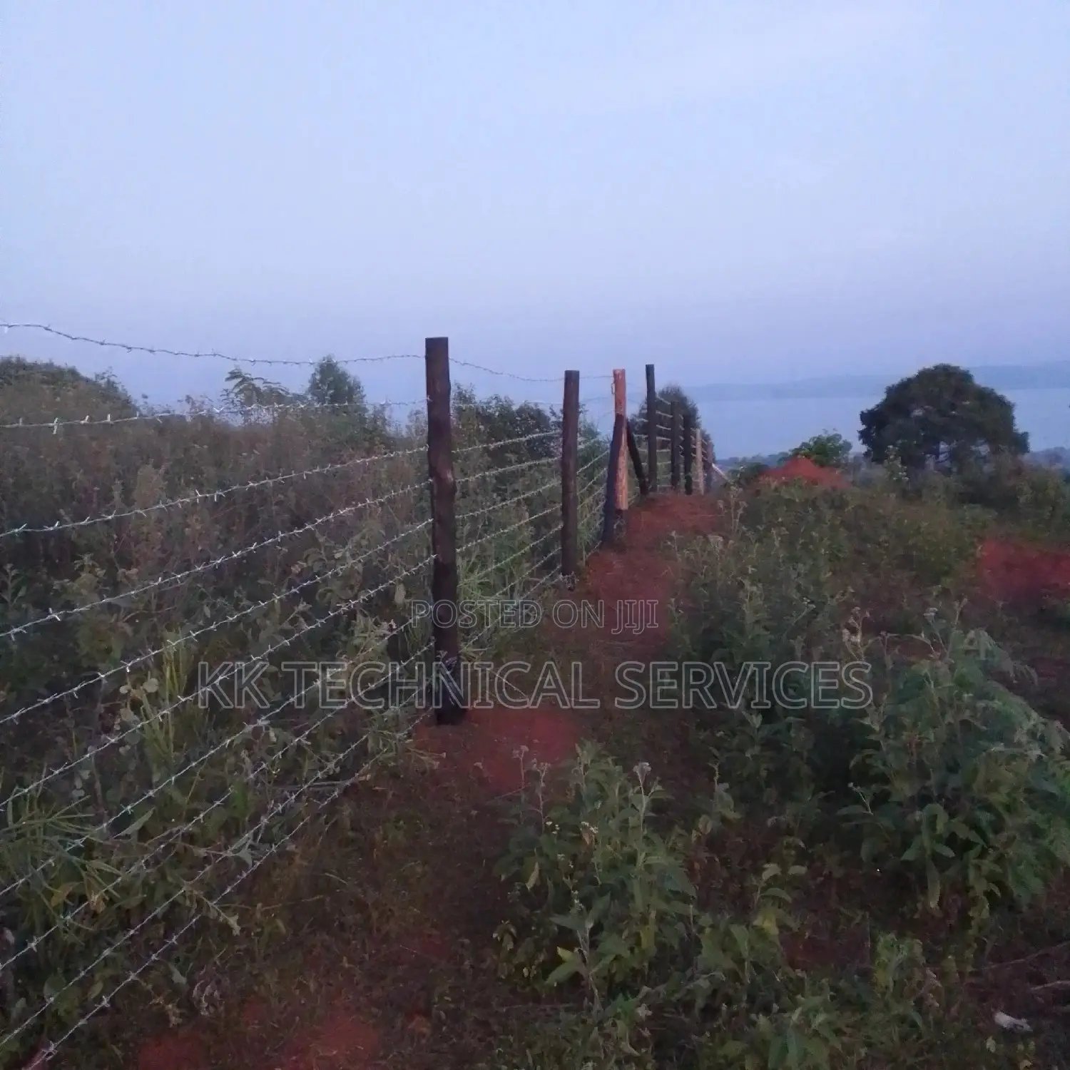 Barbed Wire Fences