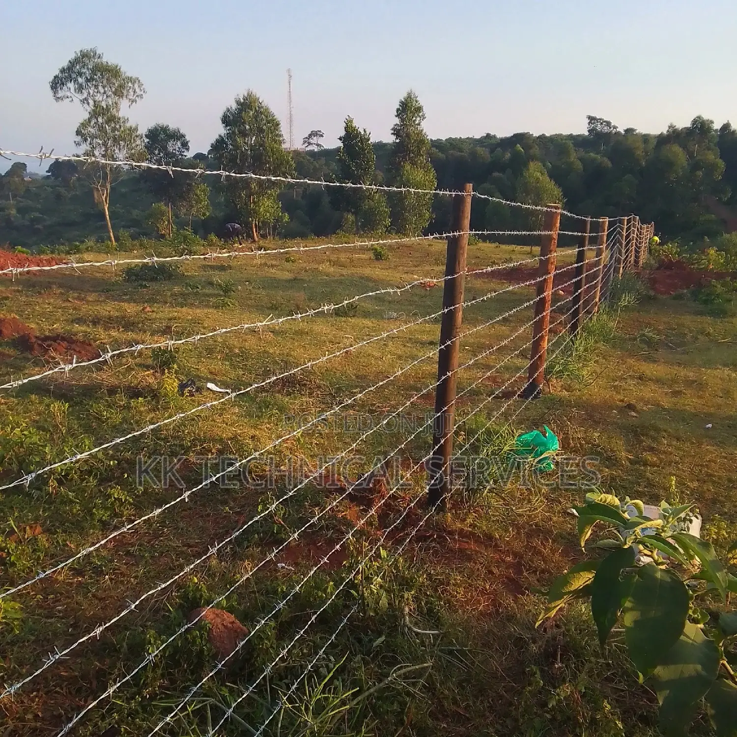 Barbed Wire Fences