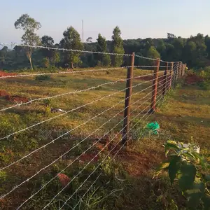 Barbed Wire Fences
