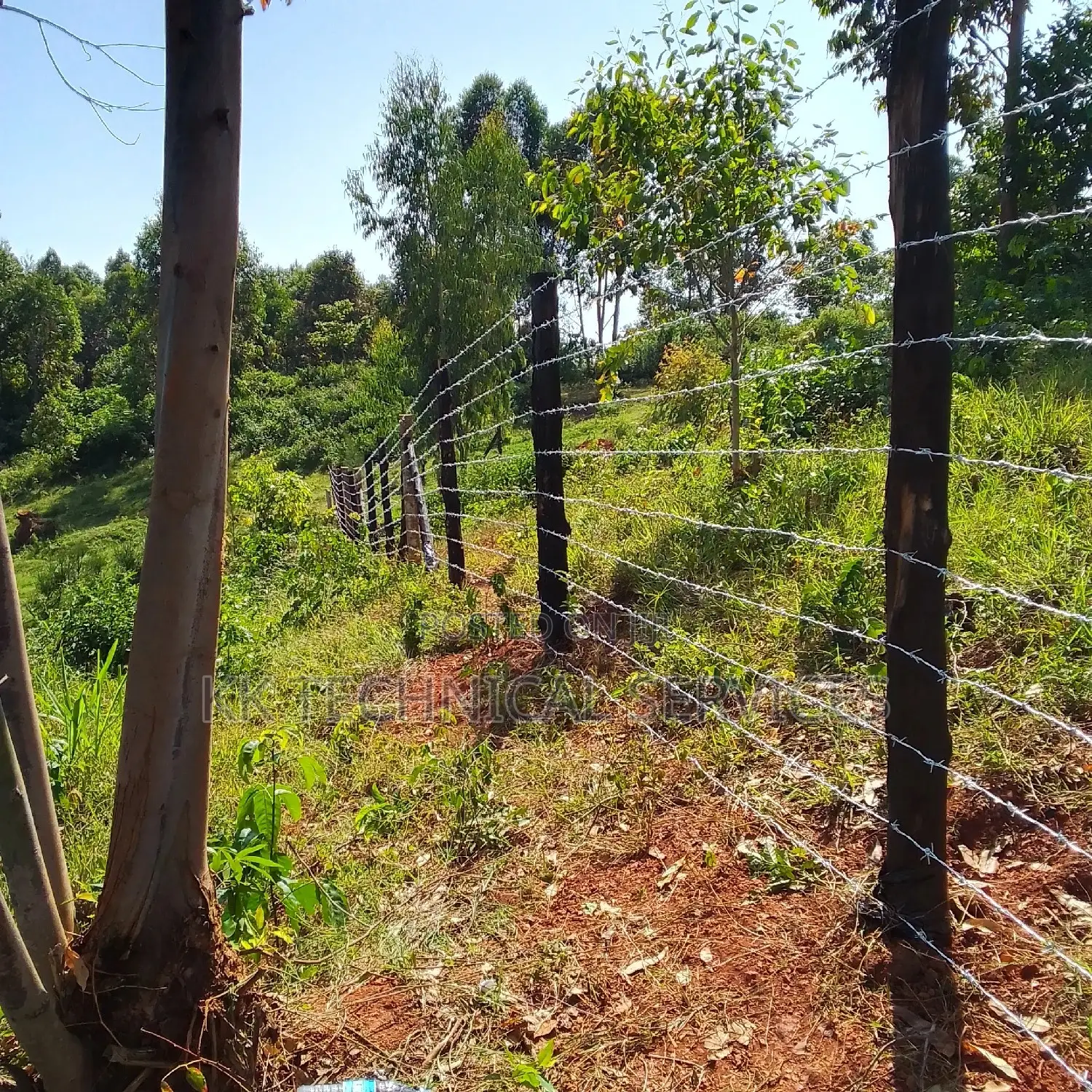 Barbed Wire Fences
