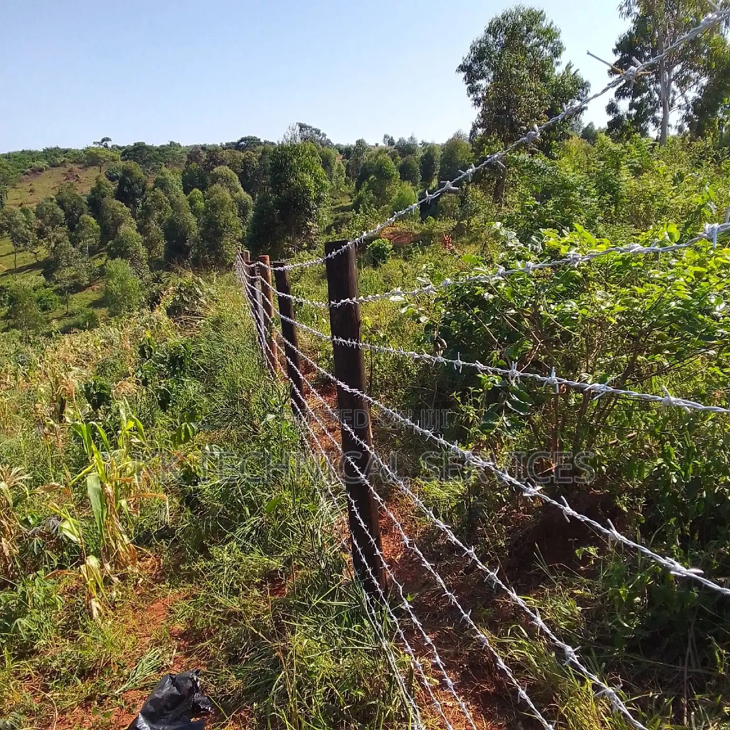 Barbed Wire Fences