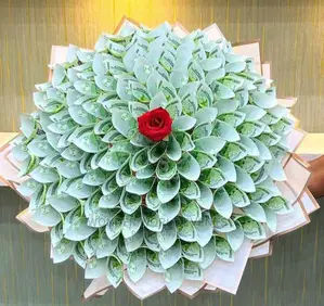Valentine Day Special