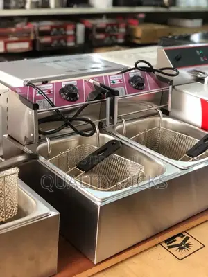Double Electric Deep Fryer