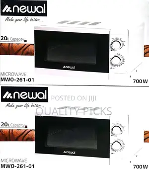 Electric Oven