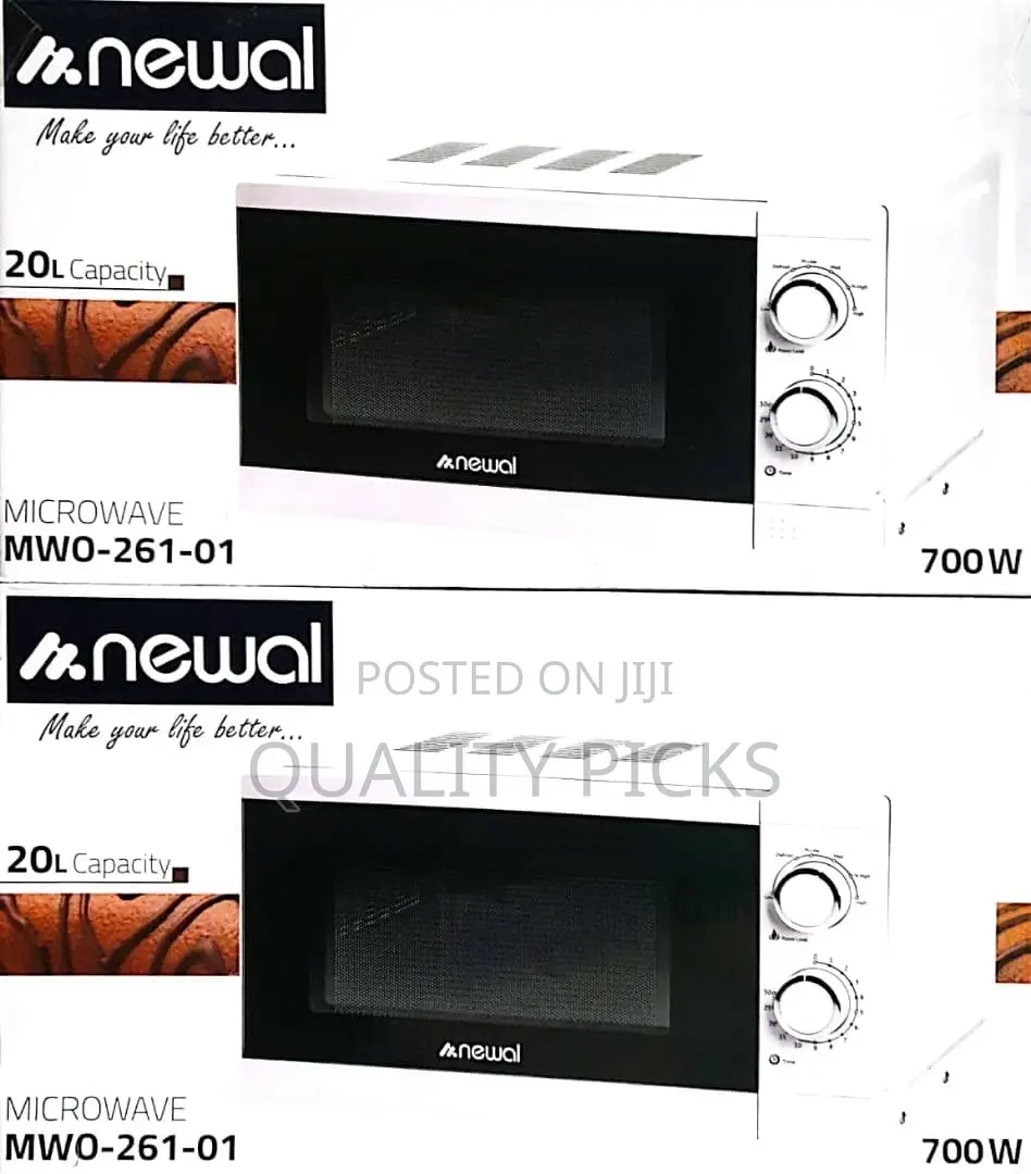 Electric Oven