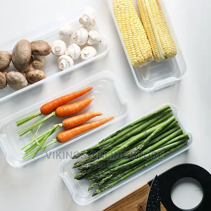 3 Layer Food Storage Fridge Container Boxes