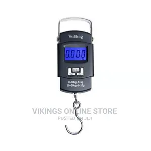 Portable Electronic Weighing Scale