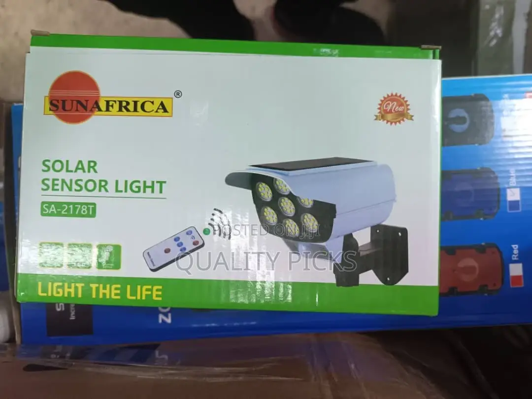 Solar Motion Sensor Light