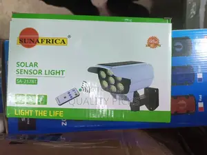 Solar Motion Sensor Light