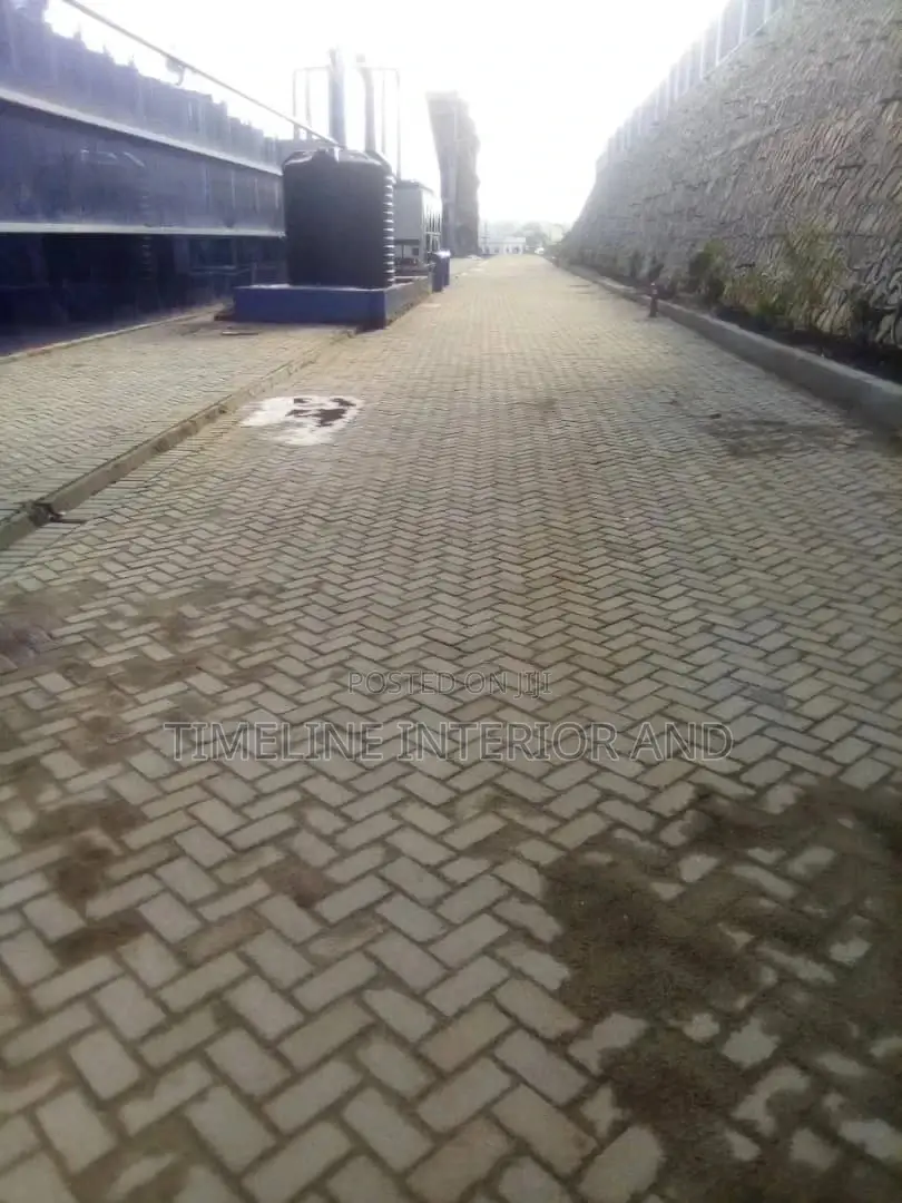 Tarmac Roads Construction Professional.