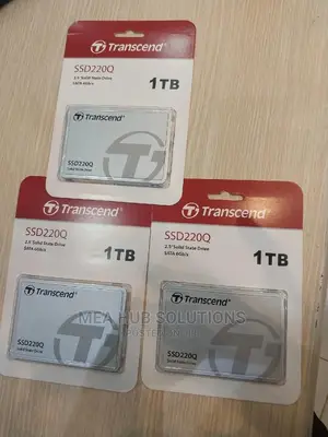 1tb Ssd220q