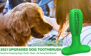 Indestructible Tough Durable Dog Teeth Chew Toy Toothbrush