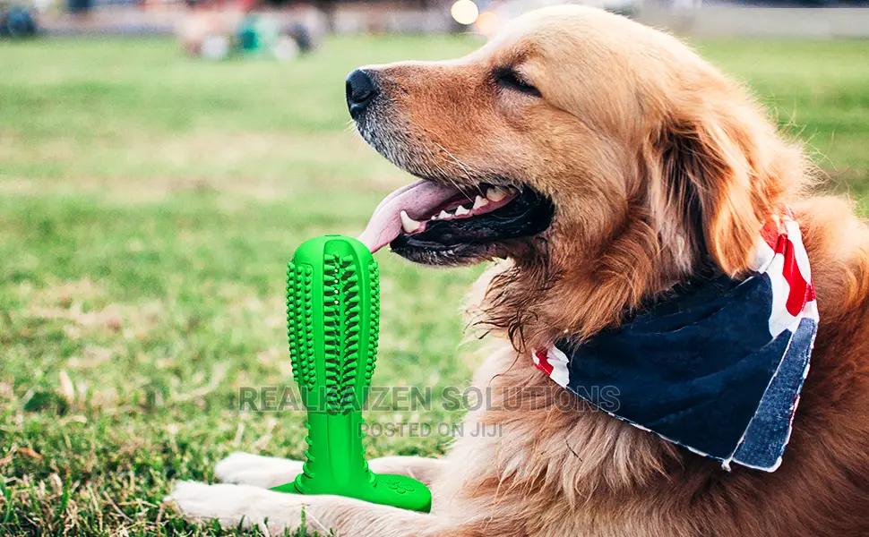 Indestructible Tough Durable Dog Teeth Chew Toy Toothbrush