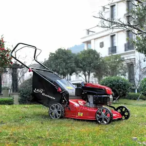 Lawn Moore