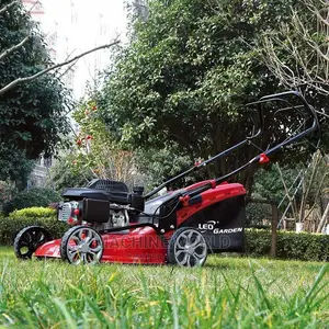 Lawn Moore