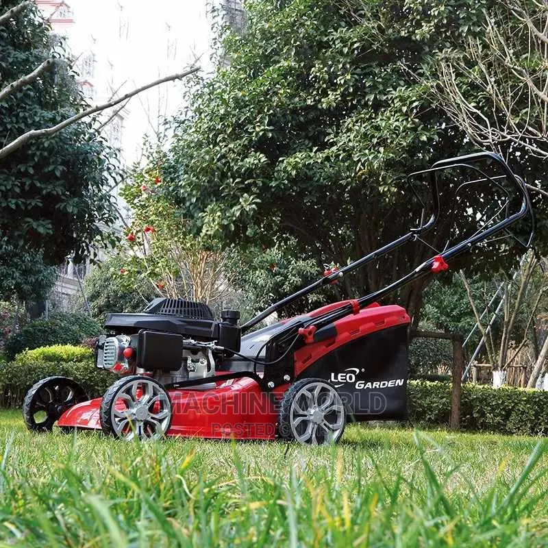 Lawn Moore