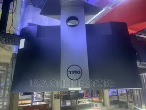 Dell IPS 24 Monitor