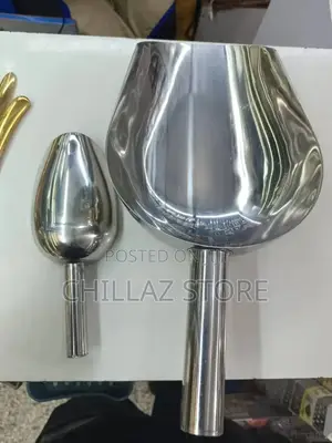 Stainless Steel Ice Scoop
