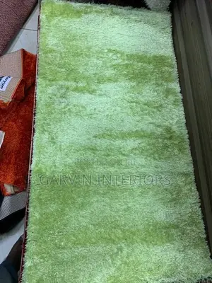 Doormats Shaggy