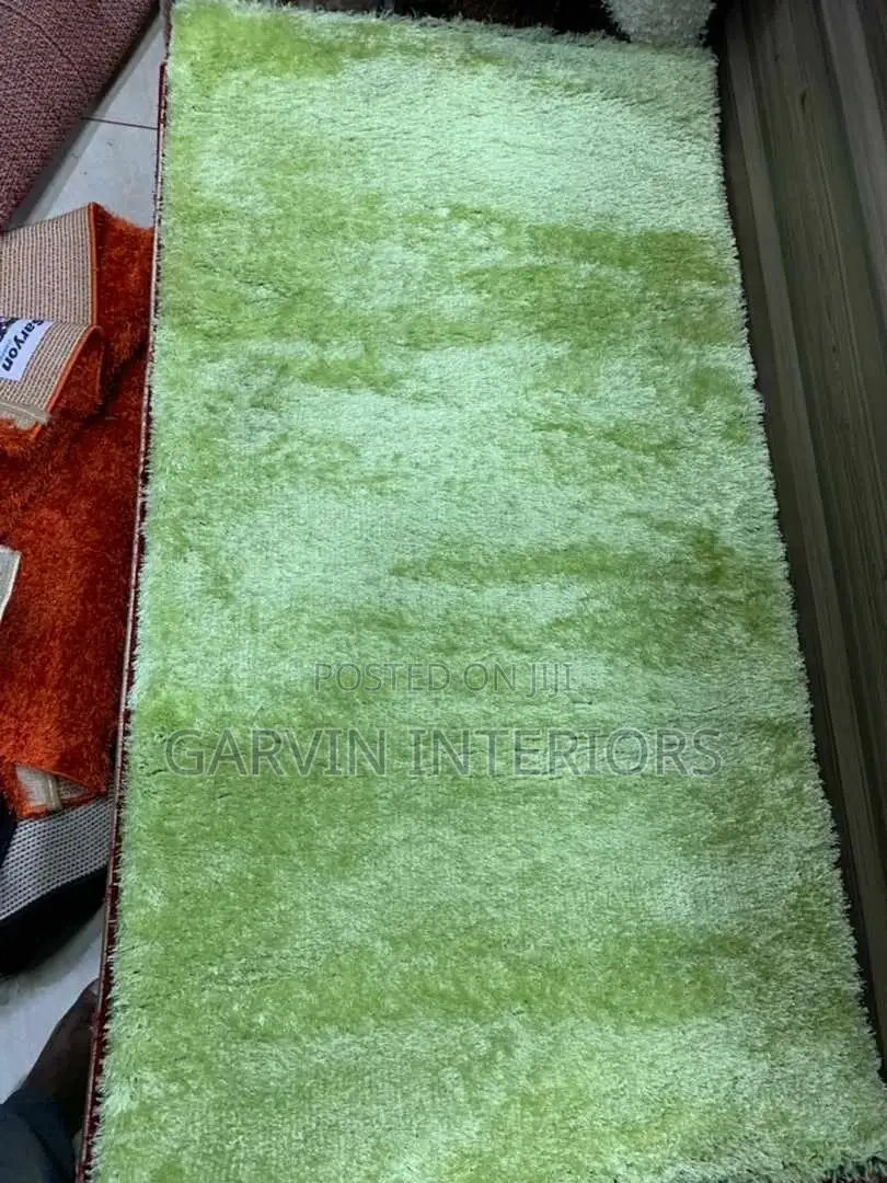 Doormats Shaggy