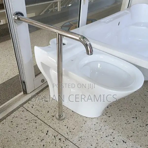 Supportive Toilet Handles